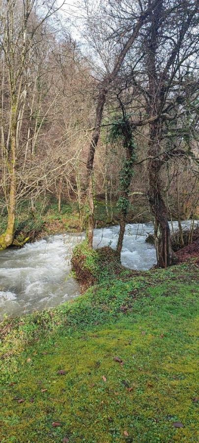 Le Clos Du Tulipier La Chapelle-du-Bard Εξωτερικό φωτογραφία
